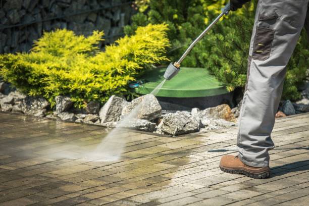 Best Roof Washing  in Toro Nyon, CA
